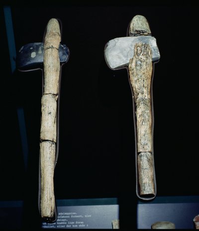 Stenen bijlen, prehistorisch door Unbekannt Unbekannt